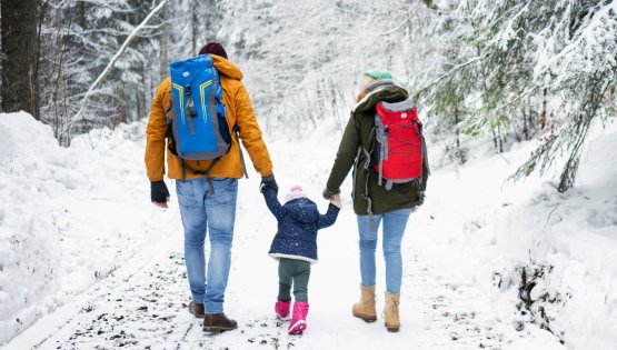 vacances de Noël 2024